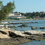 Catalina