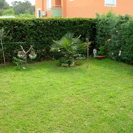 Catalina 3*