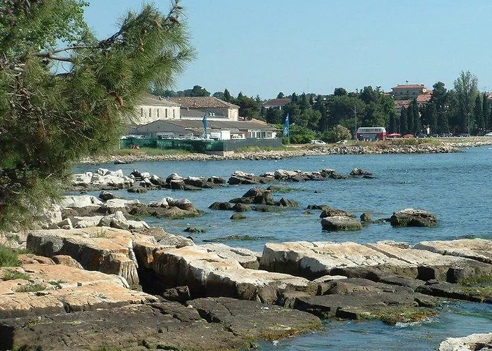 Catalina