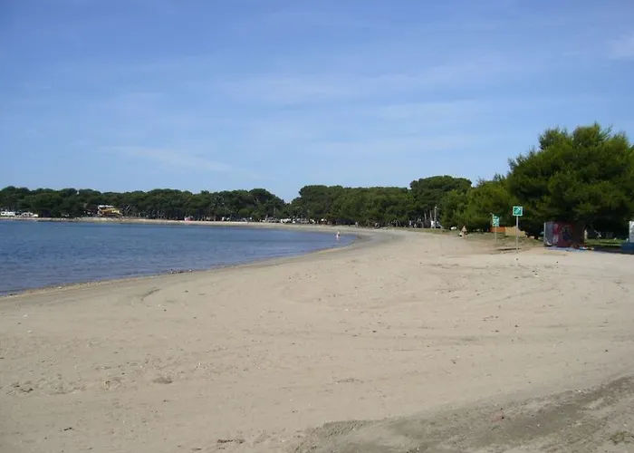 Catalina